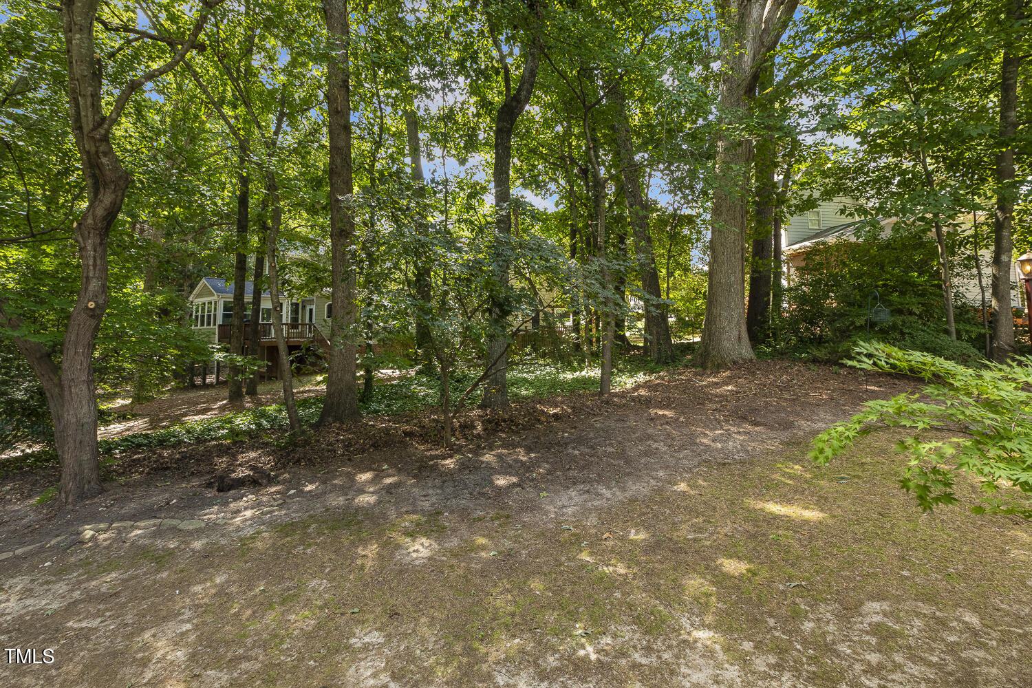 110 Felspar Way Cary, NC 27518 - Photo 55 of 71 a view of a forest with trees in the background