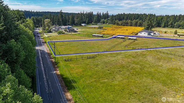 a view of a swimming pool with a yard and plants