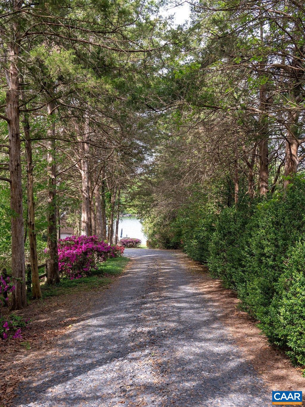 25 Bolling Circle Palmyra, VA 22963 - Photo 38 of 45 a view of road with trees