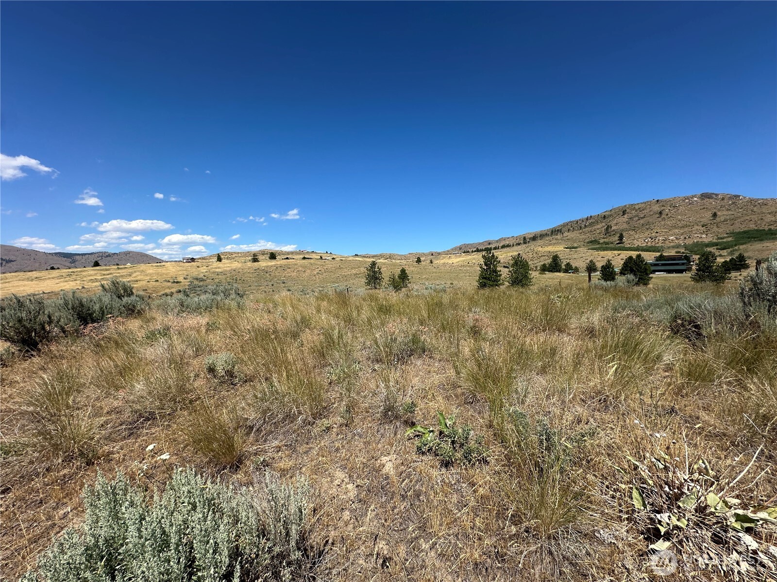 -tbd Peterson Rnch Road Pateros, WA 98846 - Photo 11 of 20 a view of a field with an ocean view