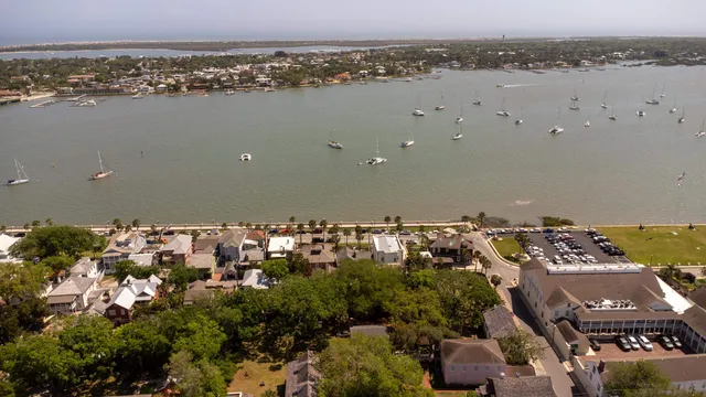 a view of a tree with a tree in front of it