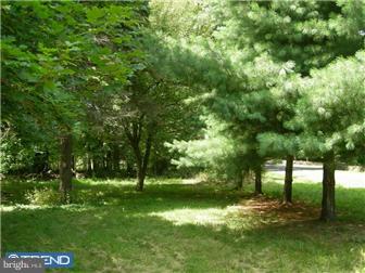 249 Beaver Run Road Ottsville, PA 18942 - Photo 11 of 12 Exterior