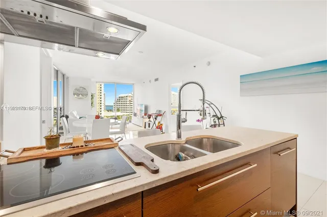 a kitchen with a sink and a potted plant