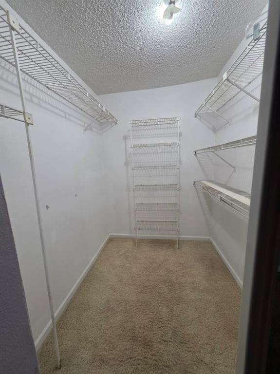 301 North Pine Island Road, Unit 216 Plantation, FL 33324 - Photo 10 of 14 a view of an empty walk in closet