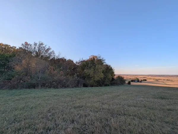 a view of a field with trees in background