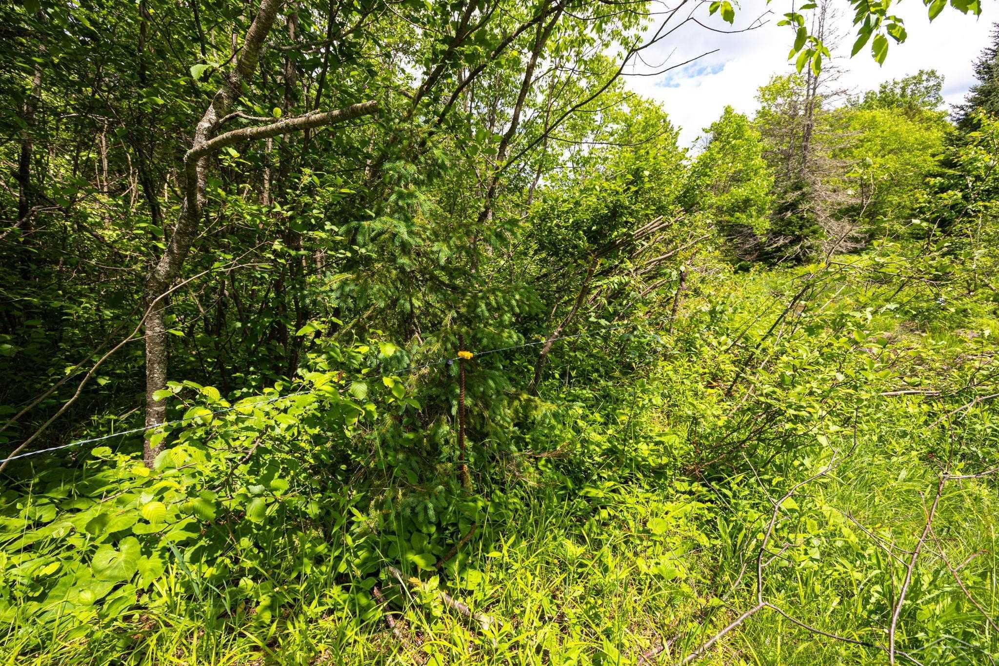 25615 Leo S Road Watton, MI 49970 - Photo 58 of 72
