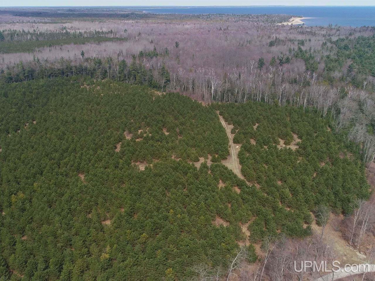 40-acres Gierke Road Manistique, MI 49854 - Photo 26 of 39