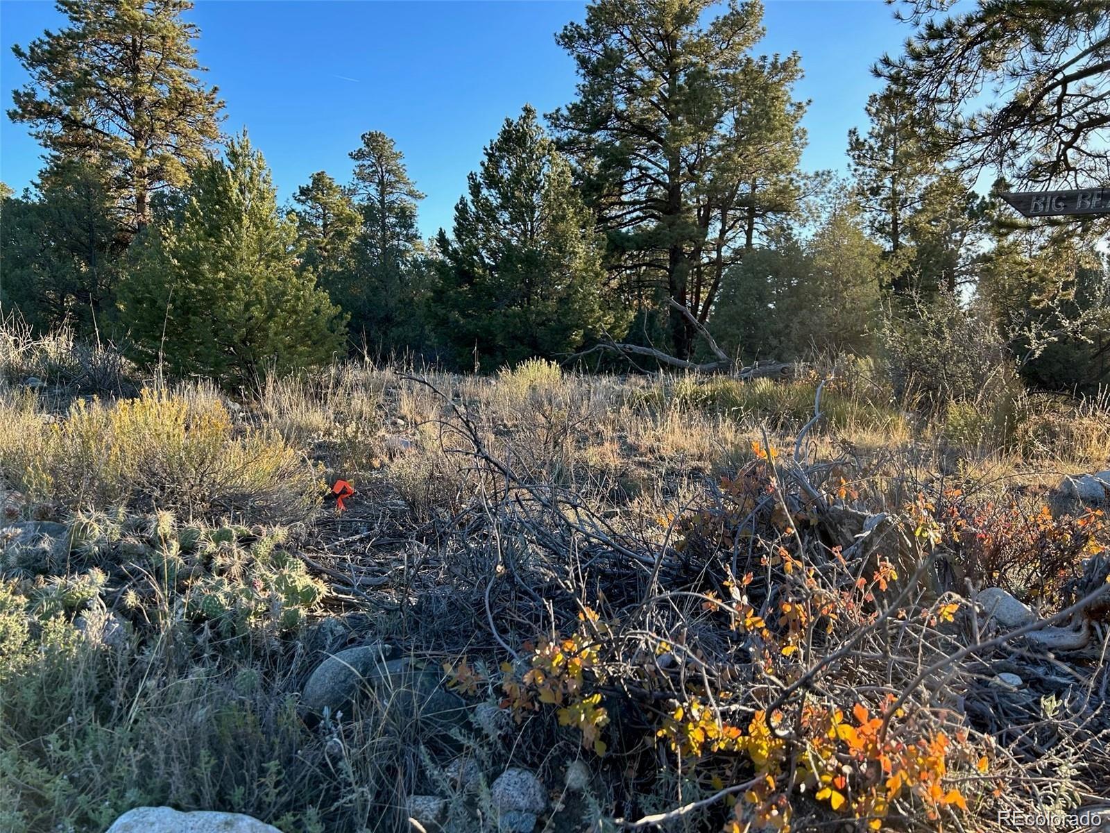 Big Bear Road Mosca, CO 81146 - Photo 12 of 14 a view of a lake with lots of trees