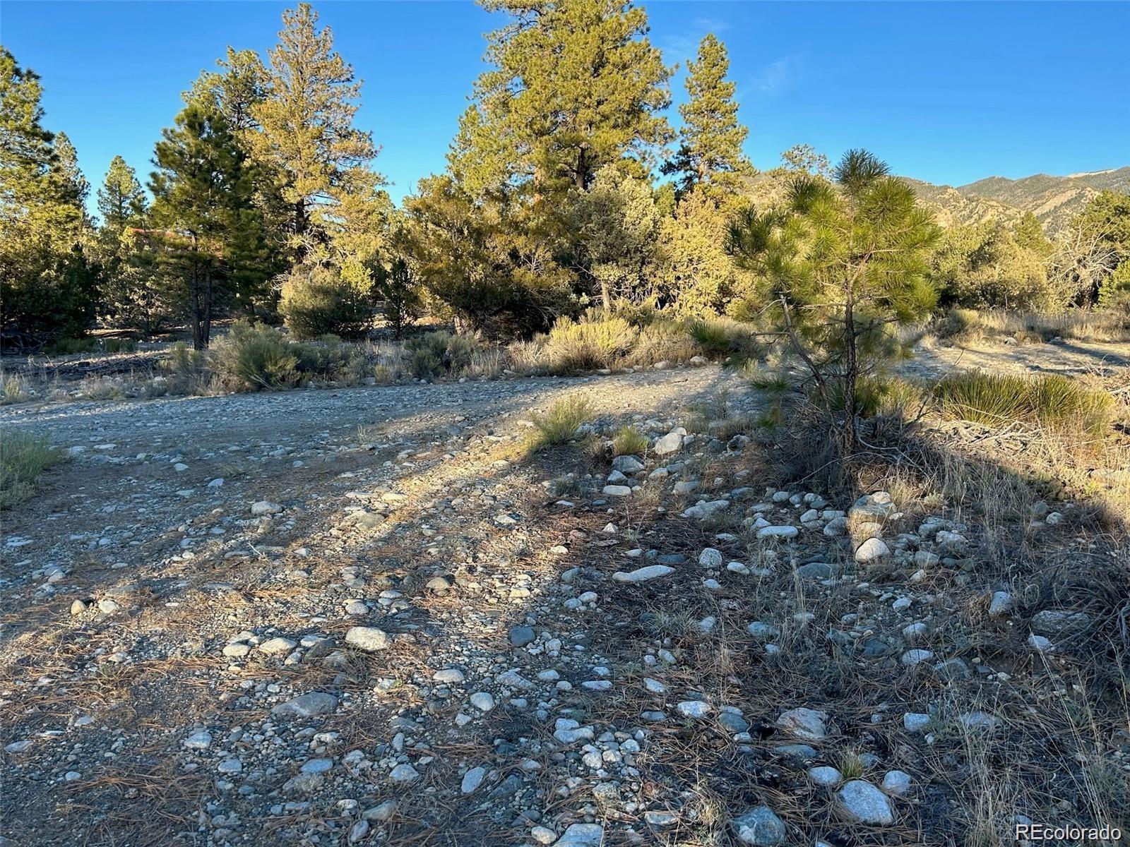 Big Bear Road Mosca, CO 81146 - Photo 14 of 14 a view of a yard with a tree