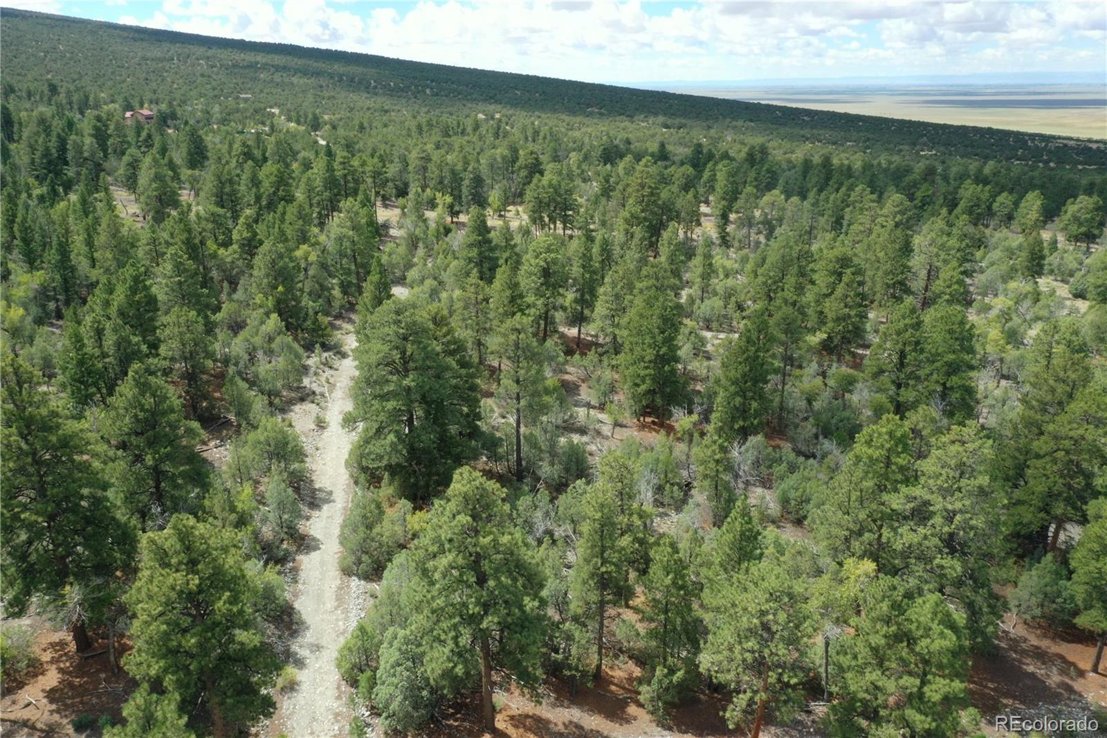 Big Bear Road Mosca, CO 81146 - Photo 2 of 14 a view of a yard with an outdoor space
