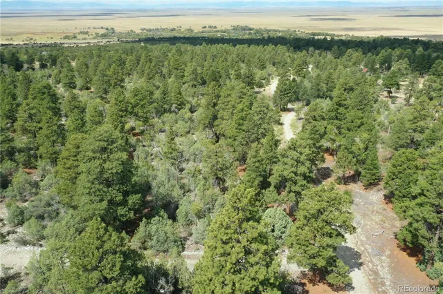 a view of a yard with an outdoor space