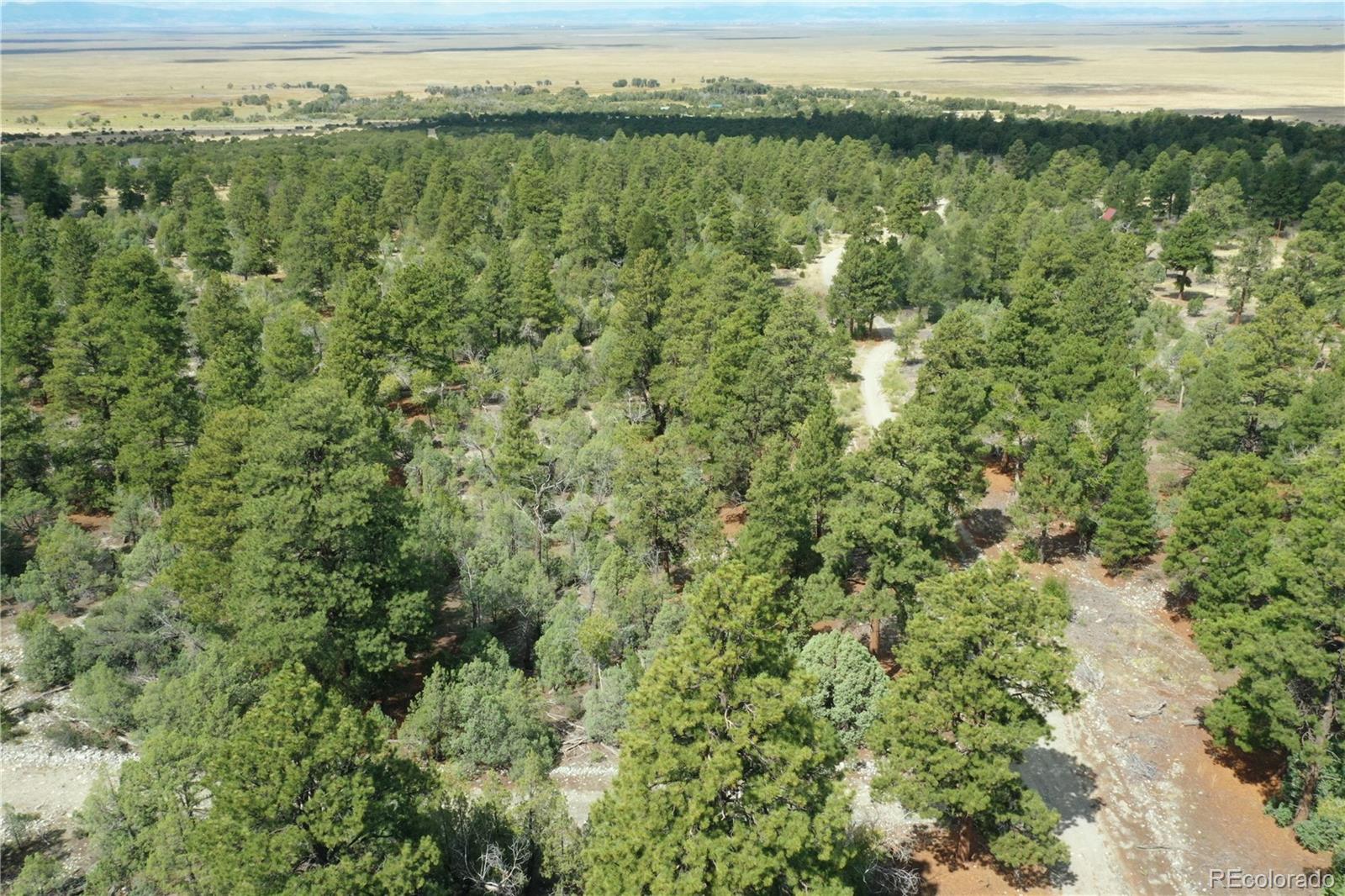 Big Bear Road Mosca, CO 81146 - Photo 3 of 14 a view of a yard with an outdoor space