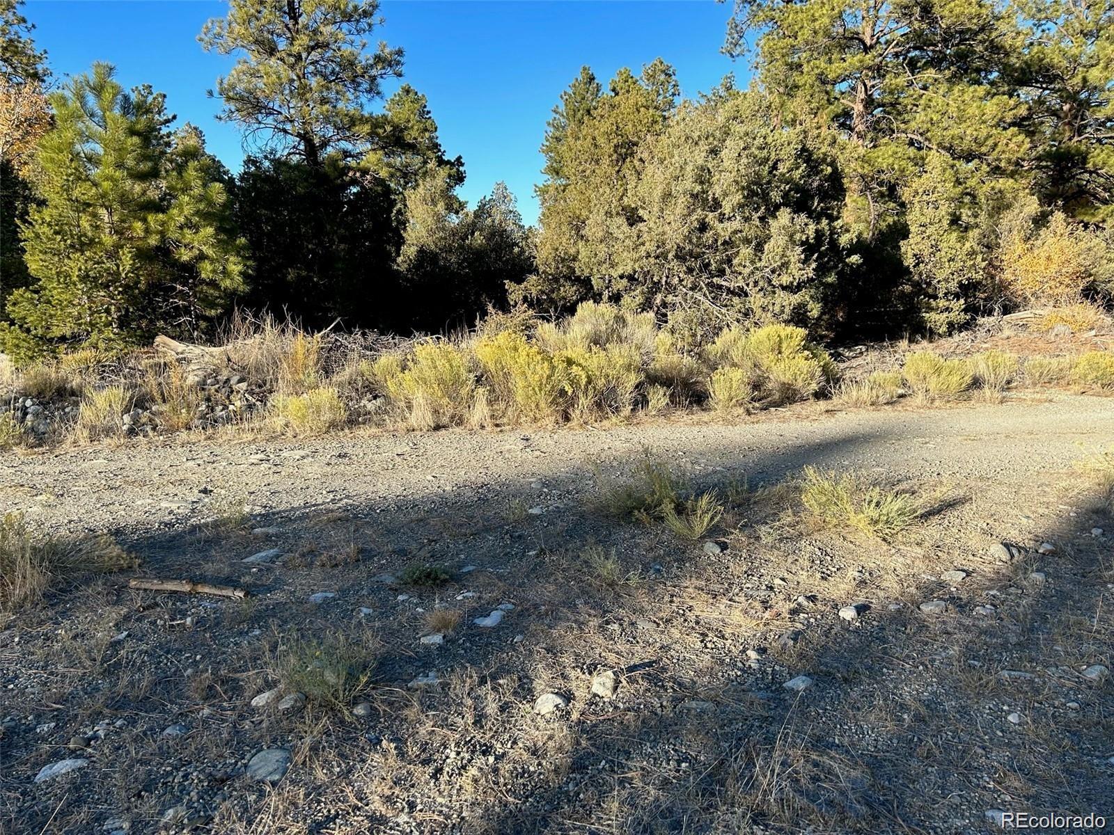 Big Bear Road Mosca, CO 81146 - Photo 8 of 14 a view of a yard covered in snow