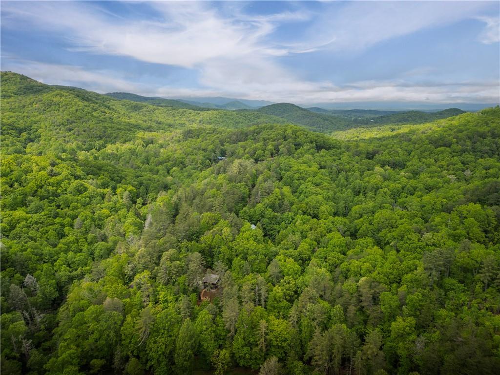 203 Mountain View Road Cherry Log, GA 30522 - Photo 32 of 32