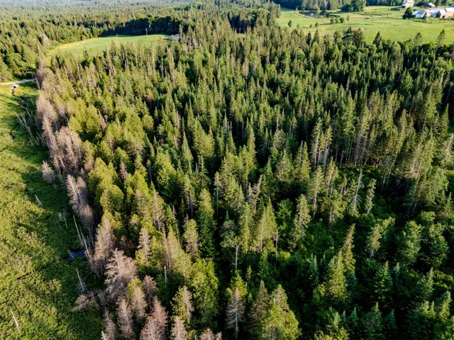 $118,000 | 0 Watson Road, Hardwick, VT 05843