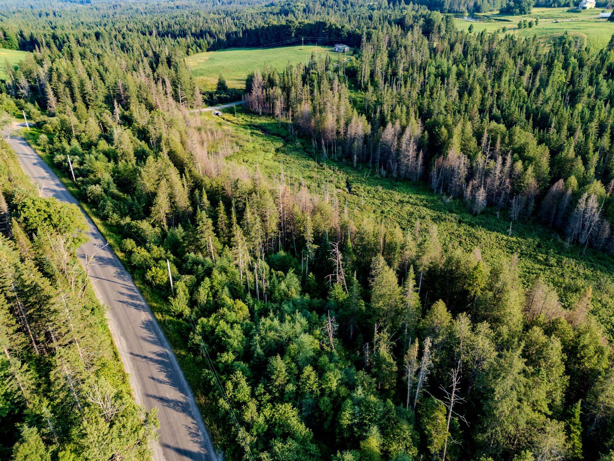 0 Watson Road Hardwick, VT 05843 - Photo 12 of 48