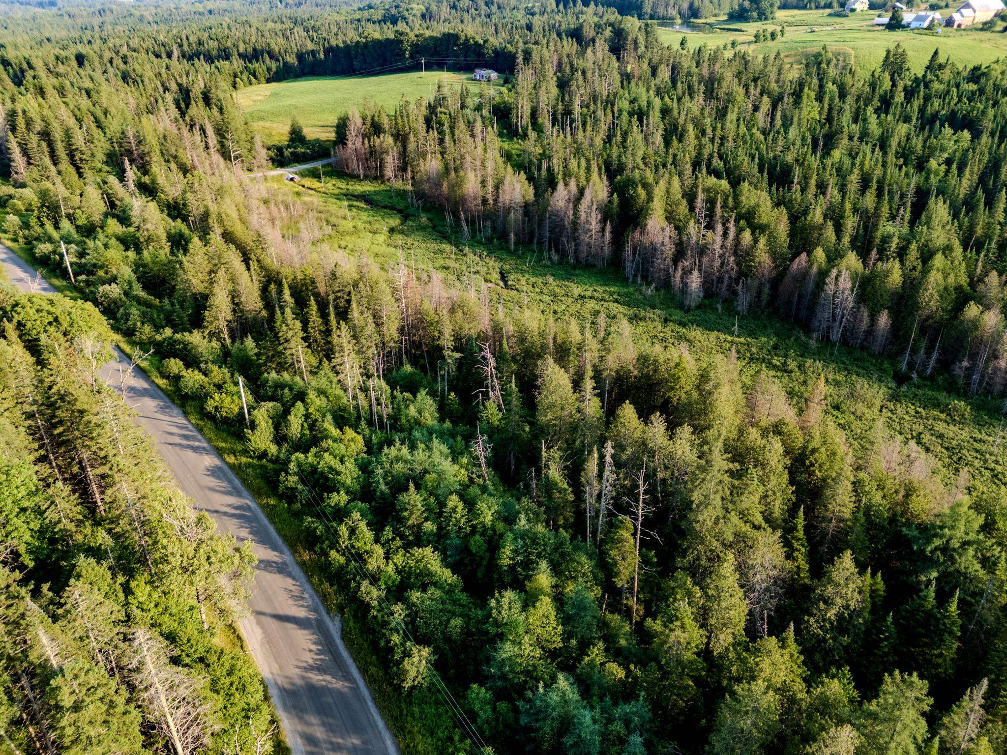 0 Watson Road Hardwick, VT 05843 - Photo 13 of 48