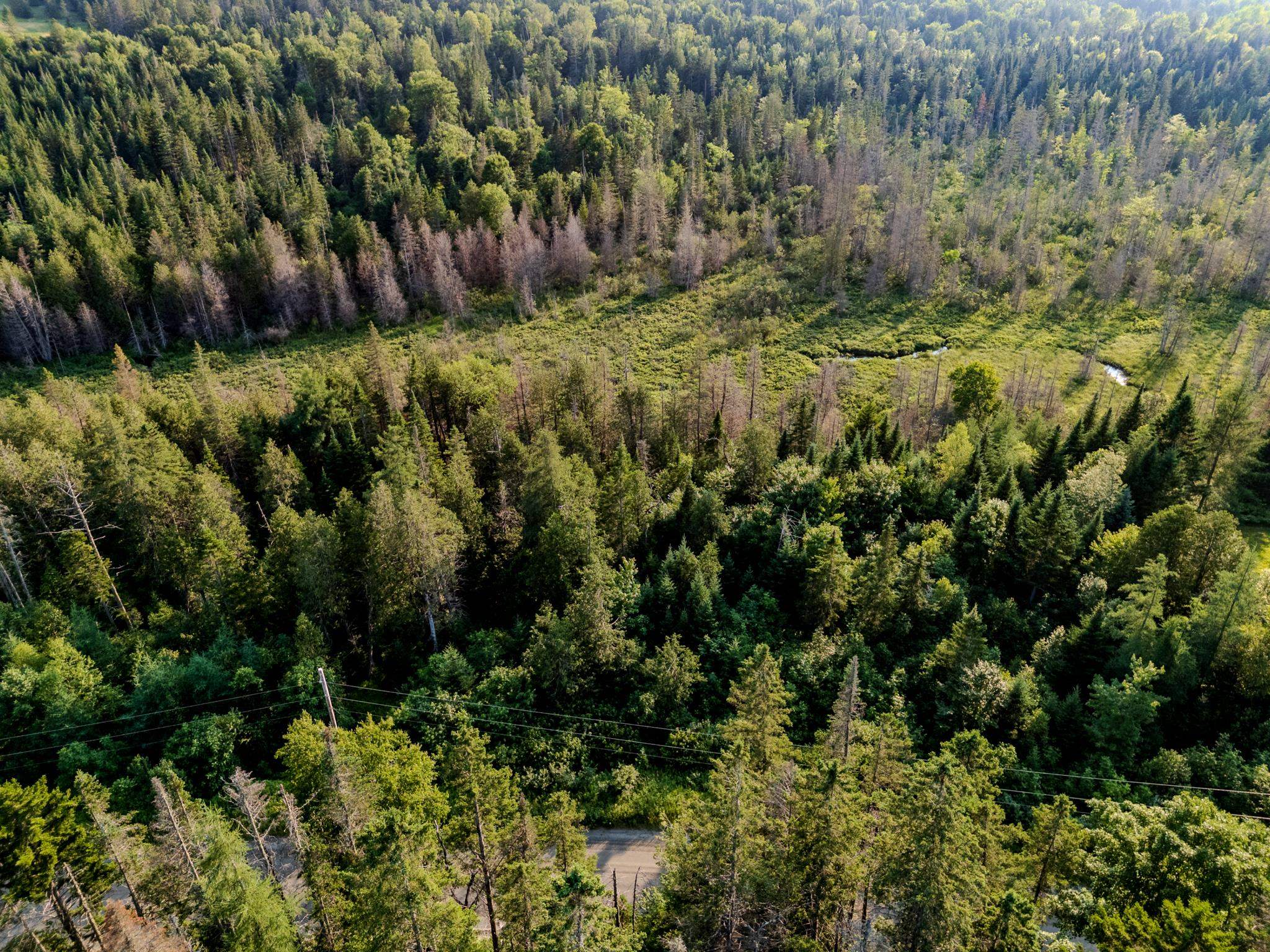 0 Watson Road Hardwick, VT 05843 - Photo 14 of 48