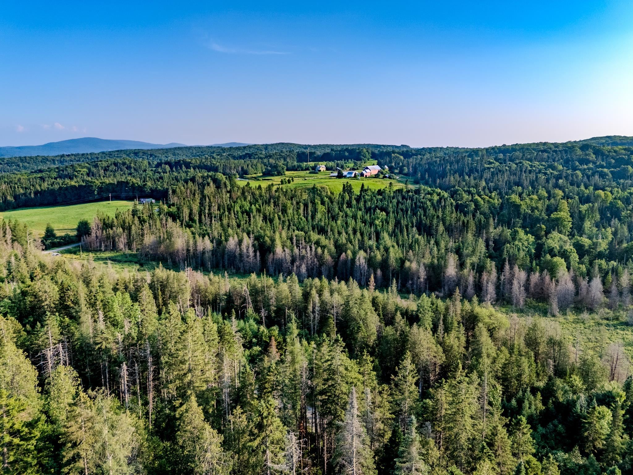 0 Watson Road Hardwick, VT 05843 - Photo 16 of 48