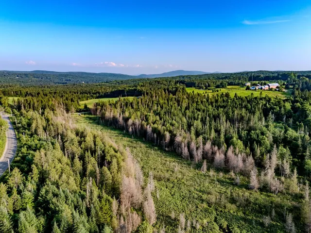 $118,000 | 0 Watson Road, Hardwick, VT 05843