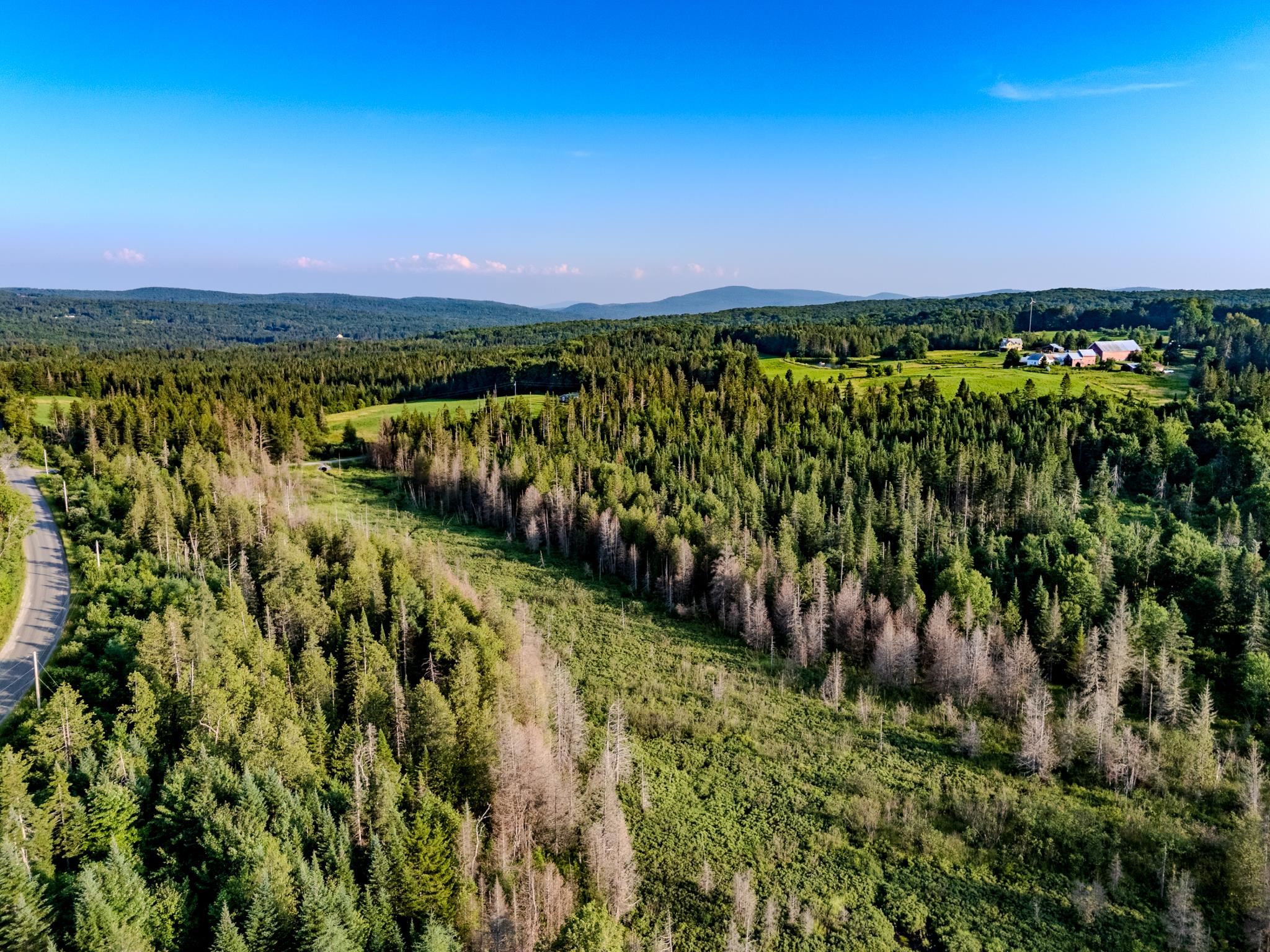 0 Watson Road Hardwick, VT 05843 - Photo 18 of 48