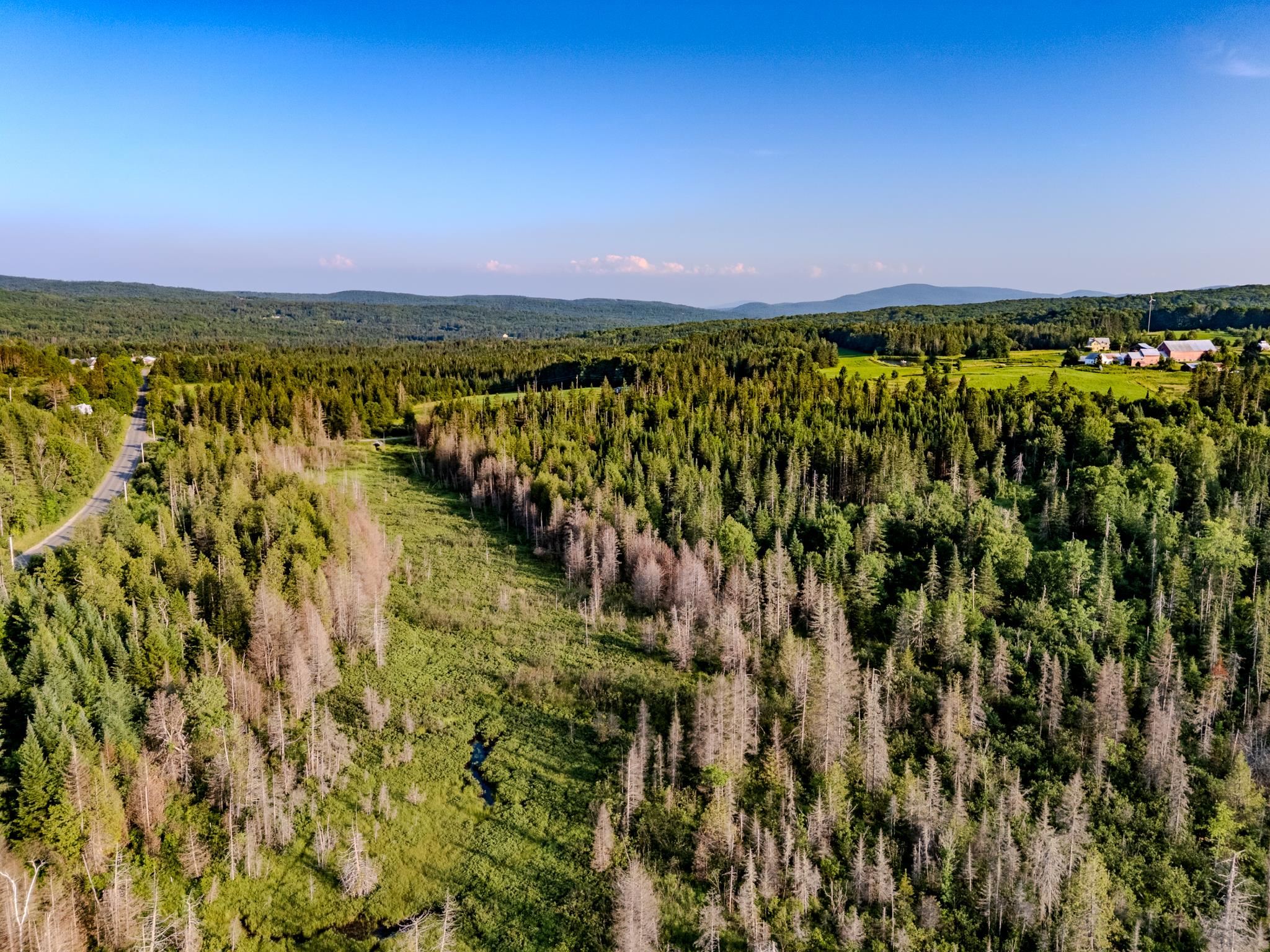 0 Watson Road Hardwick, VT 05843 - Photo 19 of 48