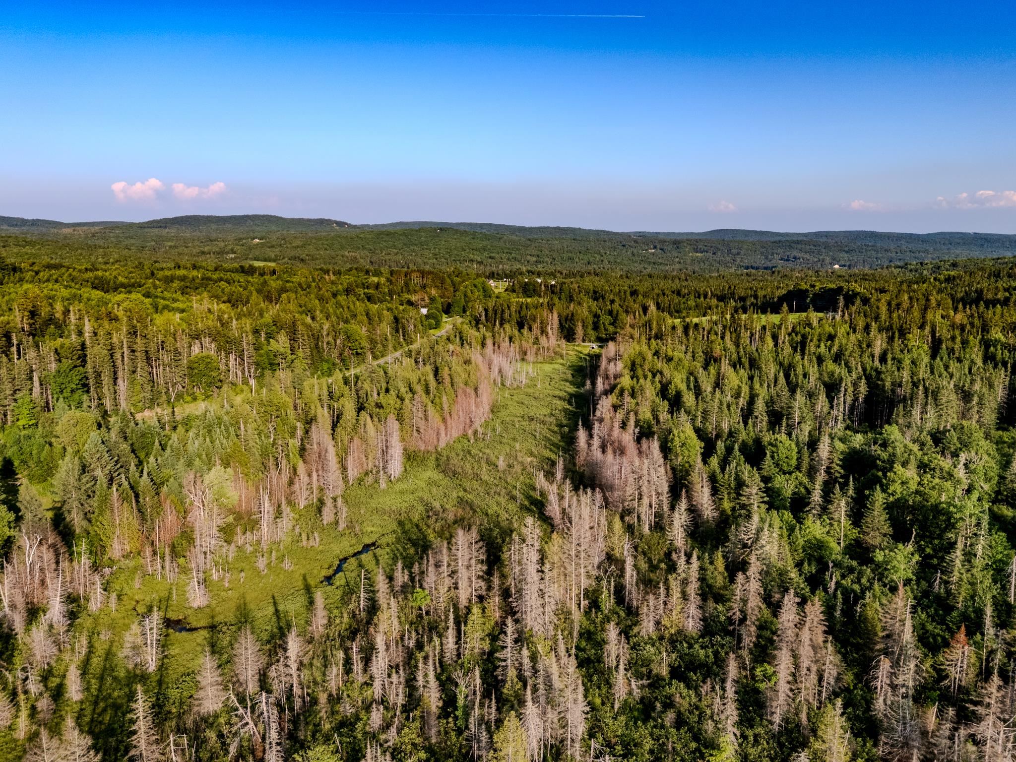 0 Watson Road Hardwick, VT 05843 - Photo 20 of 48