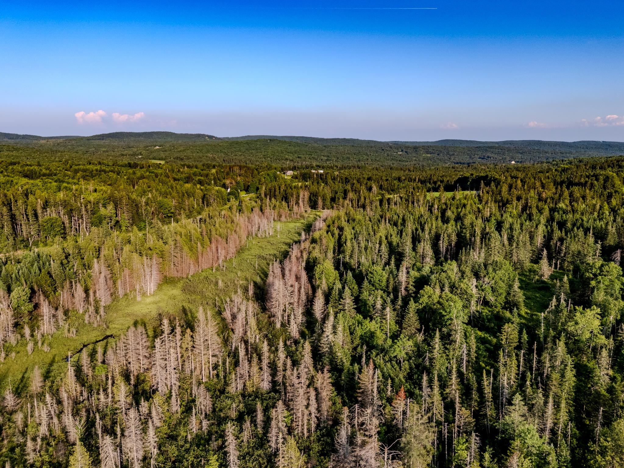 0 Watson Road Hardwick, VT 05843 - Photo 21 of 48