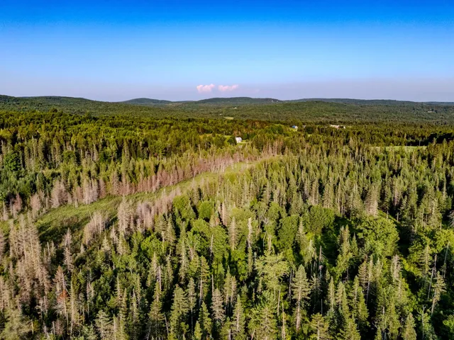 $118,000 | 0 Watson Road, Hardwick, VT 05843