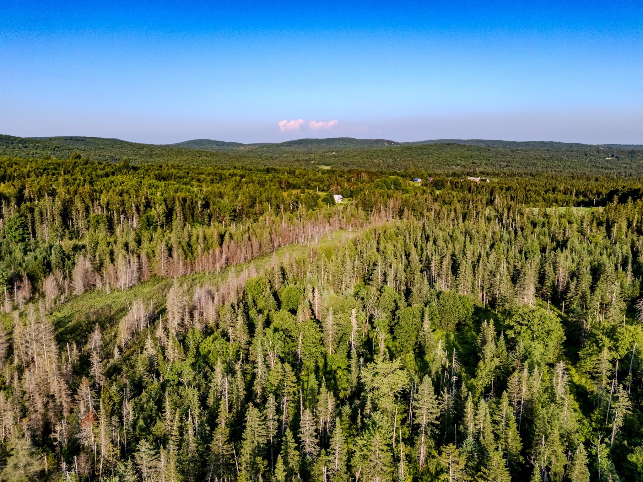 0 Watson Road Hardwick, VT 05843 - Photo 22 of 48