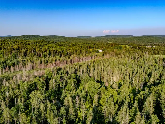 $118,000 | 0 Watson Road, Hardwick, VT 05843