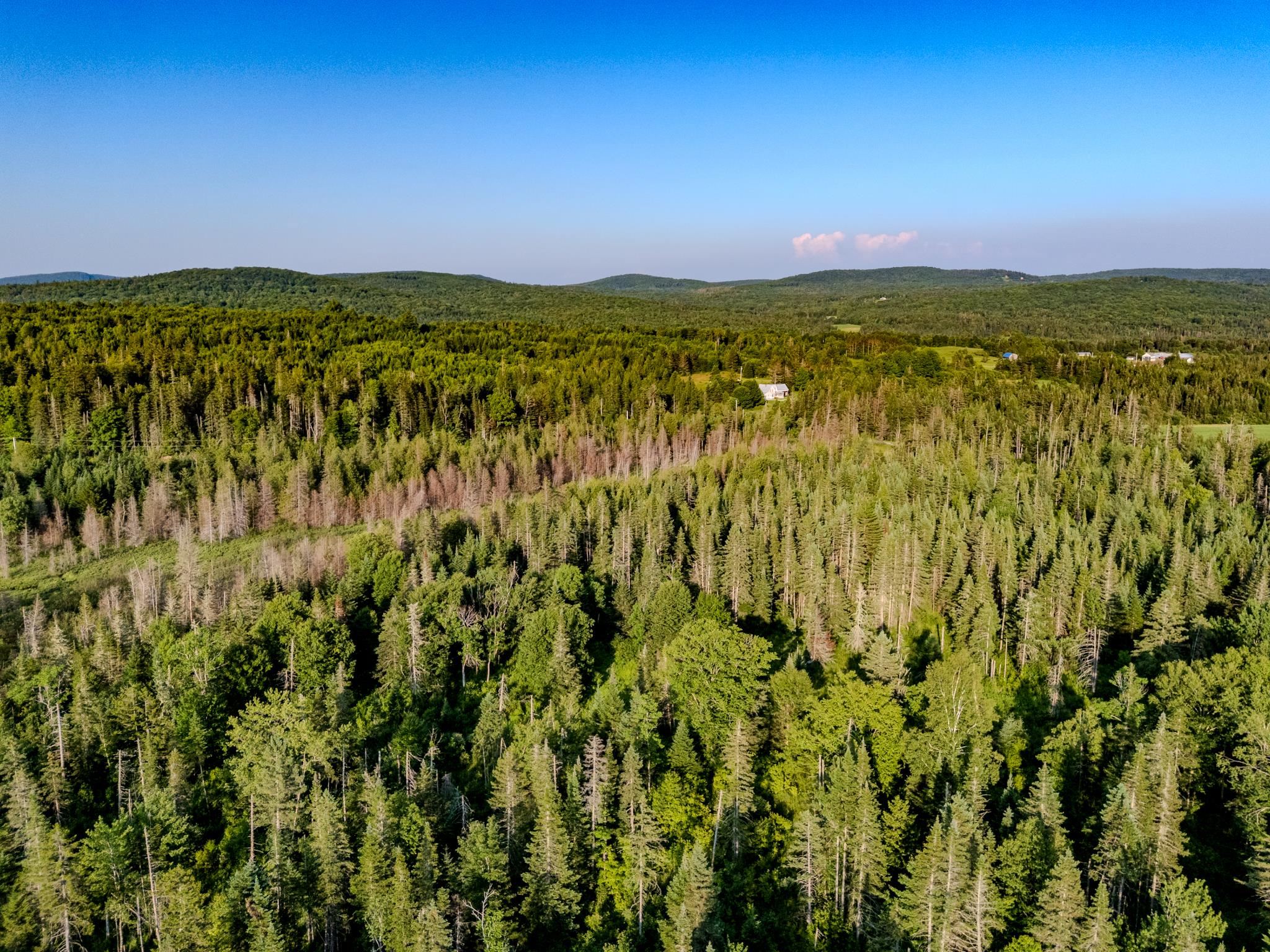 0 Watson Road Hardwick, VT 05843 - Photo 23 of 48