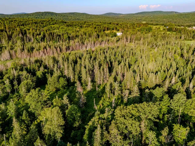 $118,000 | 0 Watson Road, Hardwick, VT 05843