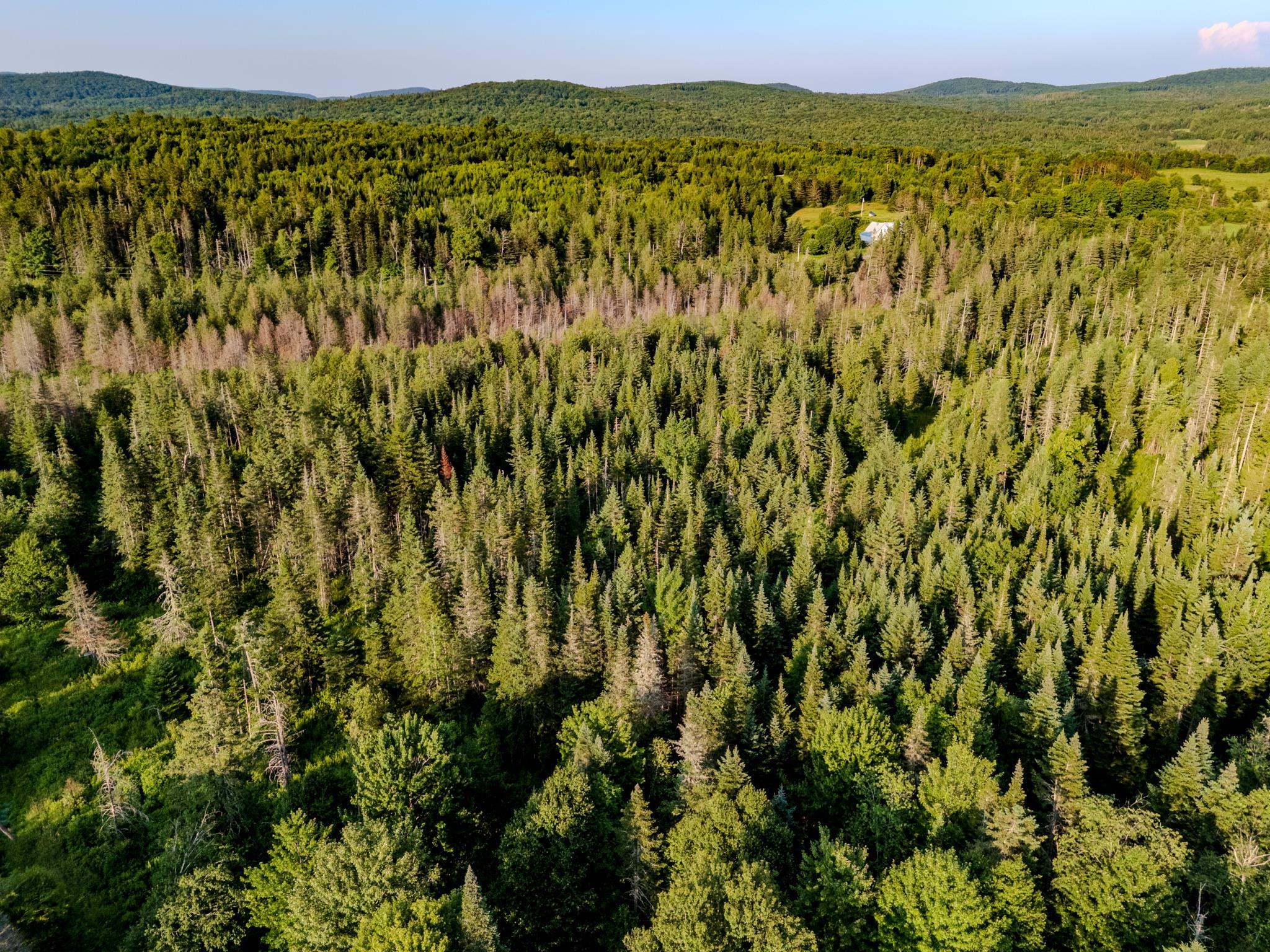 0 Watson Road Hardwick, VT 05843 - Photo 25 of 48