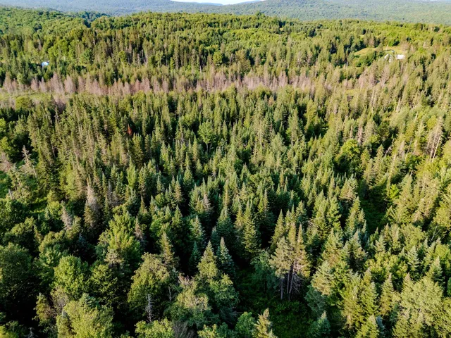 $118,000 | 0 Watson Road, Hardwick, VT 05843