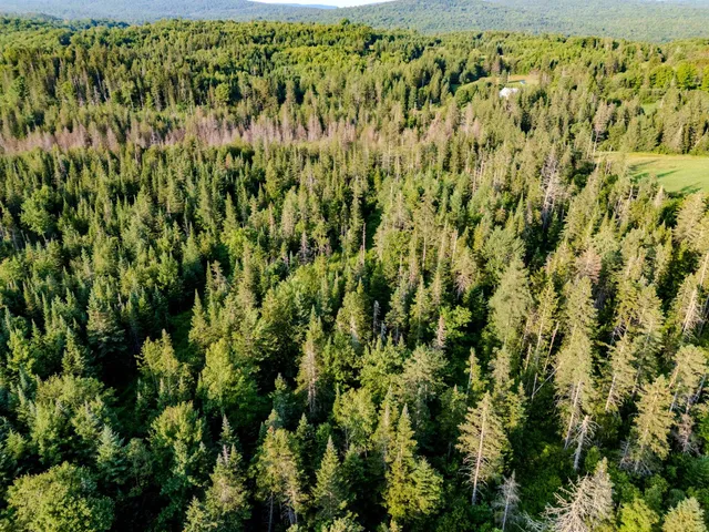 $118,000 | 0 Watson Road, Hardwick, VT 05843