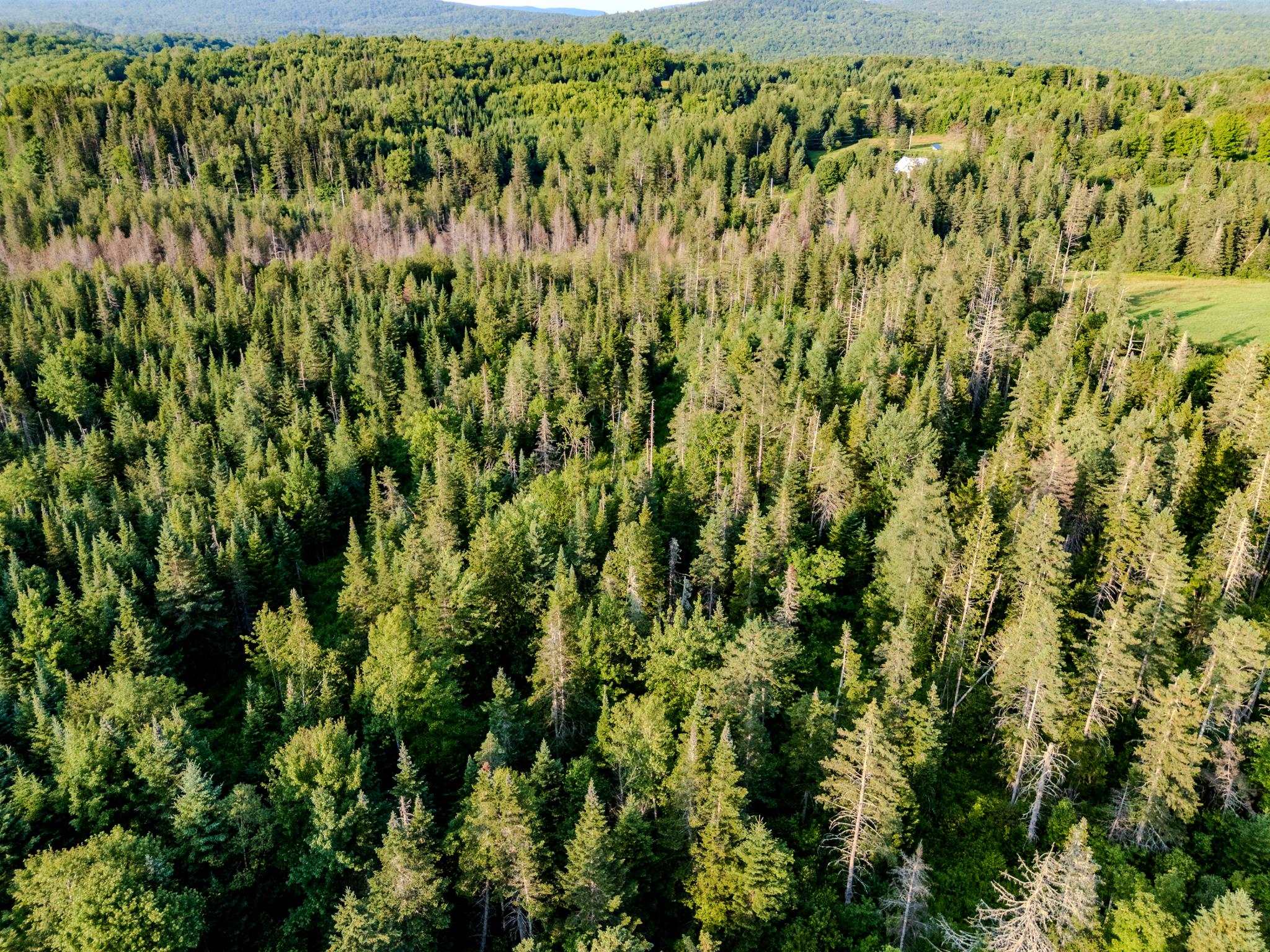 0 Watson Road Hardwick, VT 05843 - Photo 27 of 48