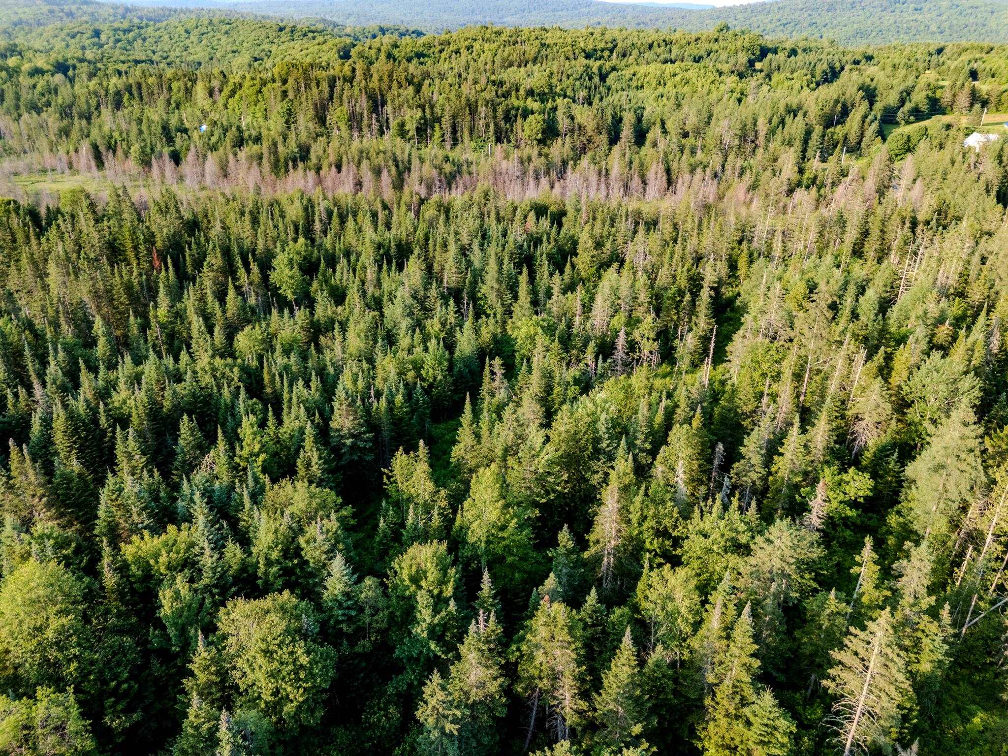 0 Watson Road Hardwick, VT 05843 - Photo 28 of 48