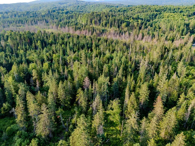 $118,000 | 0 Watson Road, Hardwick, VT 05843