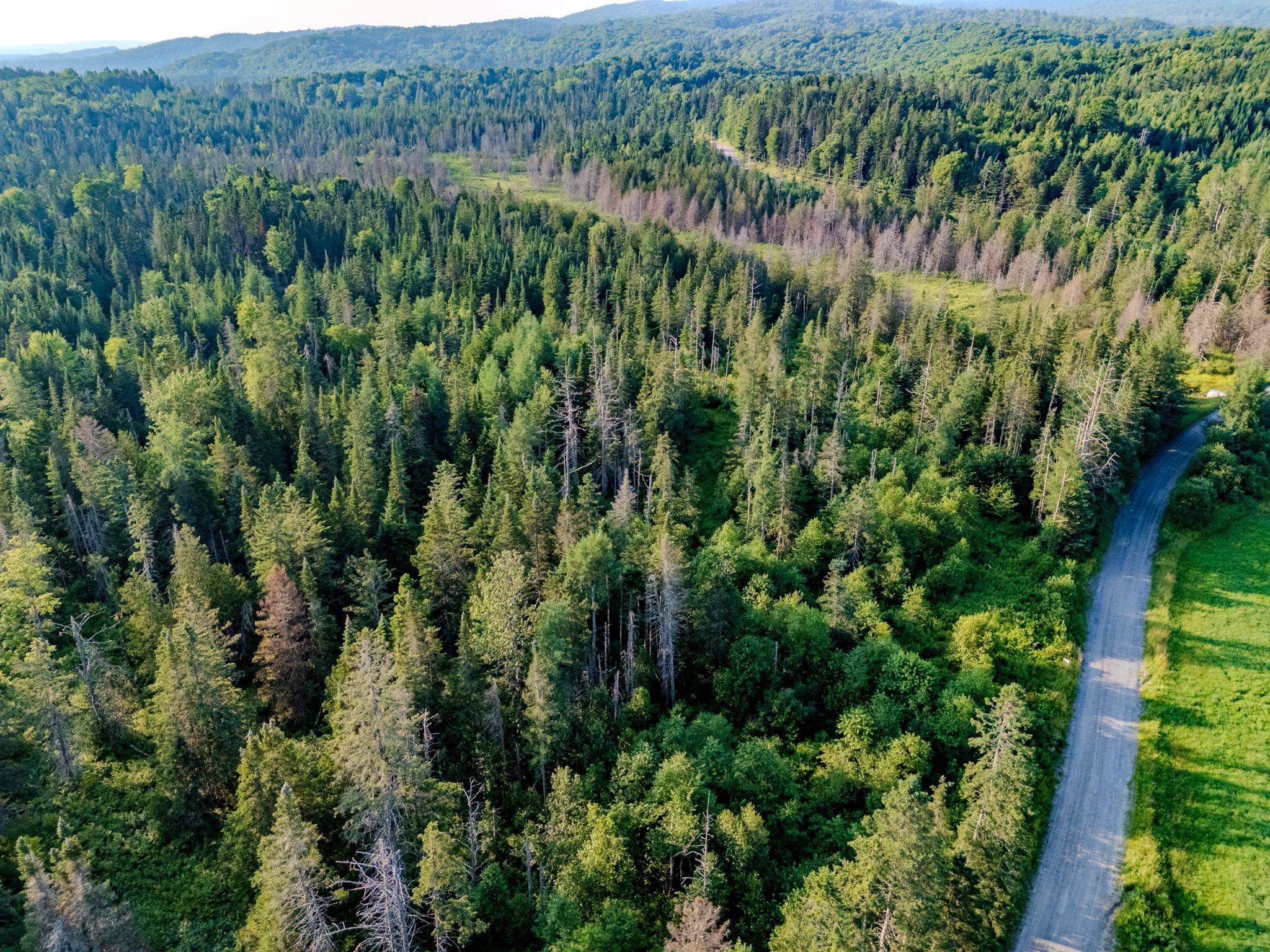 0 Watson Road Hardwick, VT 05843 - Photo 30 of 48