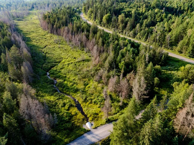 $118,000 | 0 Watson Road, Hardwick, VT 05843