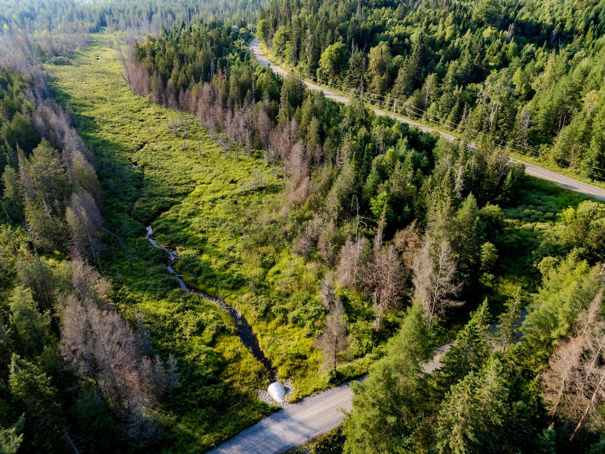 0 Watson Road Hardwick, VT 05843 - Photo 3 of 48