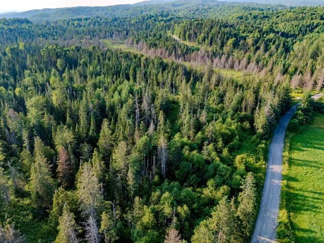 $118,000 | 0 Watson Road, Hardwick, VT 05843