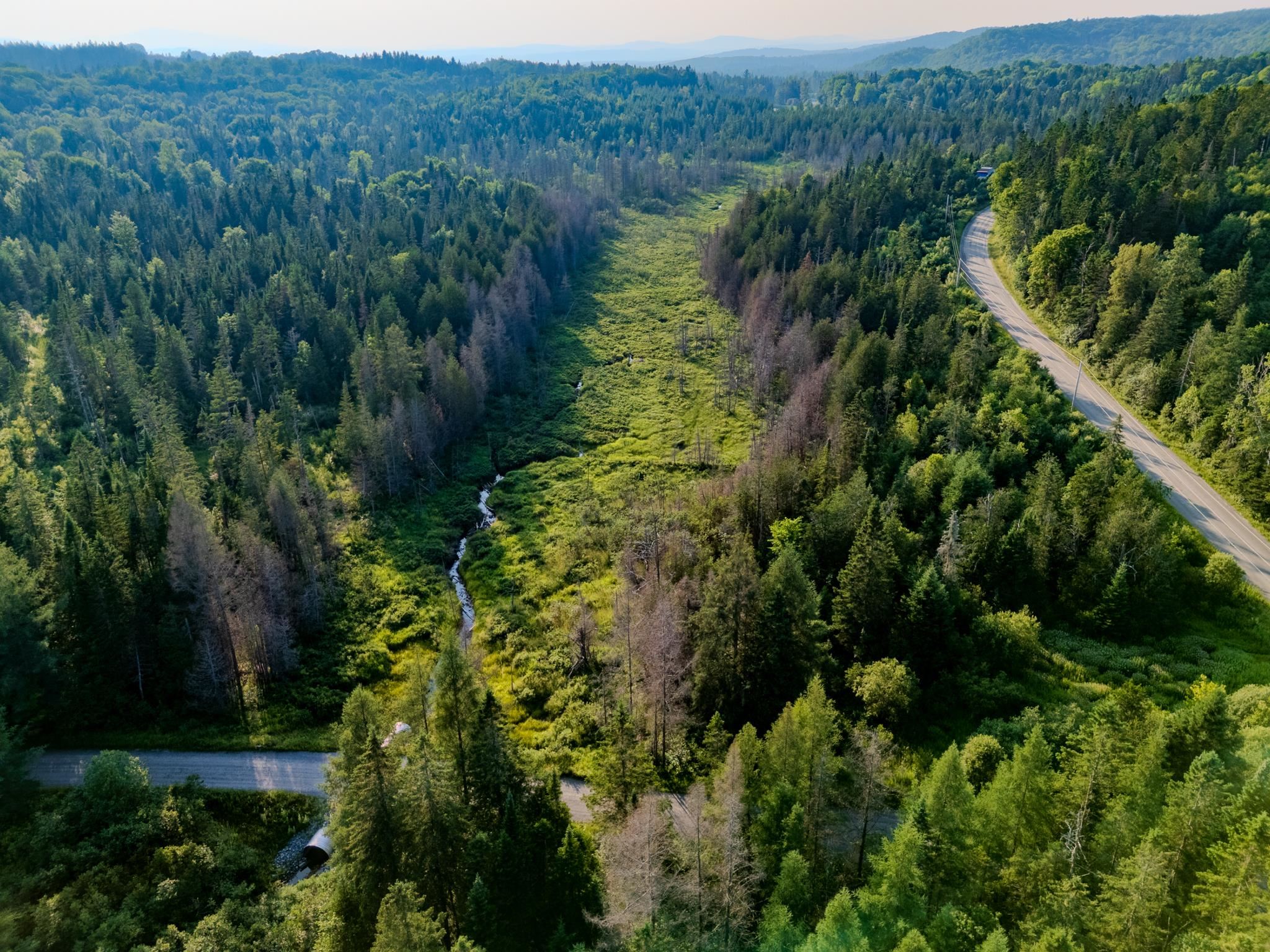 0 Watson Road Hardwick, VT 05843 - Photo 33 of 48