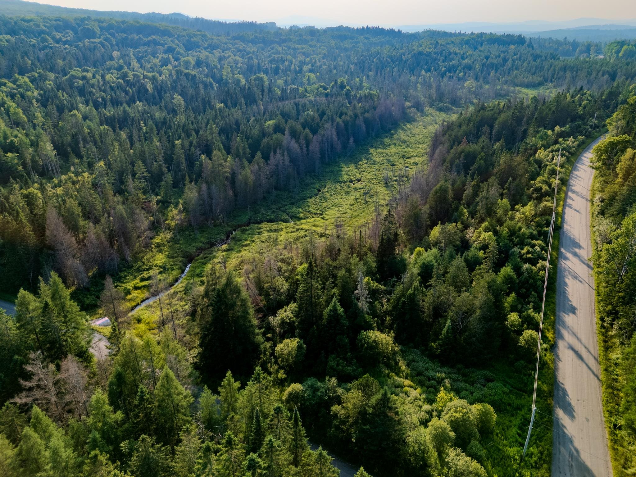 0 Watson Road Hardwick, VT 05843 - Photo 34 of 48