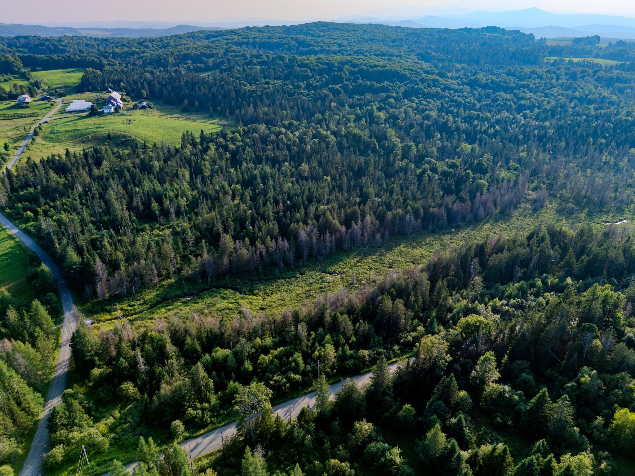 0 Watson Road Hardwick, VT 05843 - Photo 39 of 48