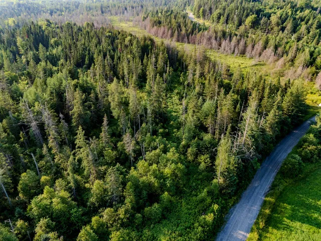 $118,000 | 0 Watson Road, Hardwick, VT 05843