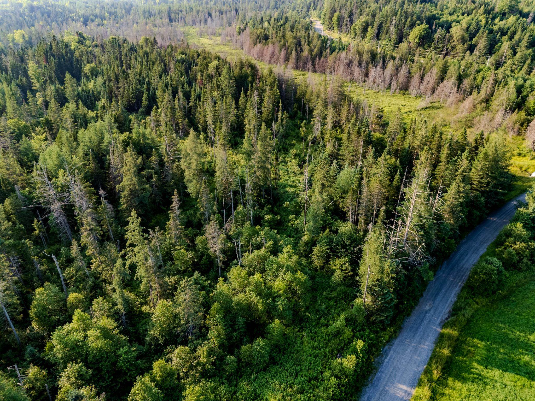 0 Watson Road Hardwick, VT 05843 - Photo 4 of 48