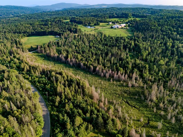 $118,000 | 0 Watson Road, Hardwick, VT 05843