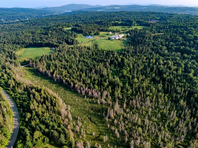 $118,000 | 0 Watson Road, Hardwick, VT 05843